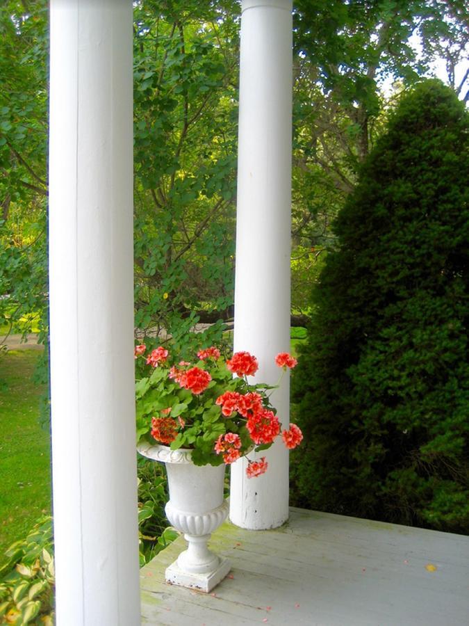 Millbrook Country House Екстериор снимка