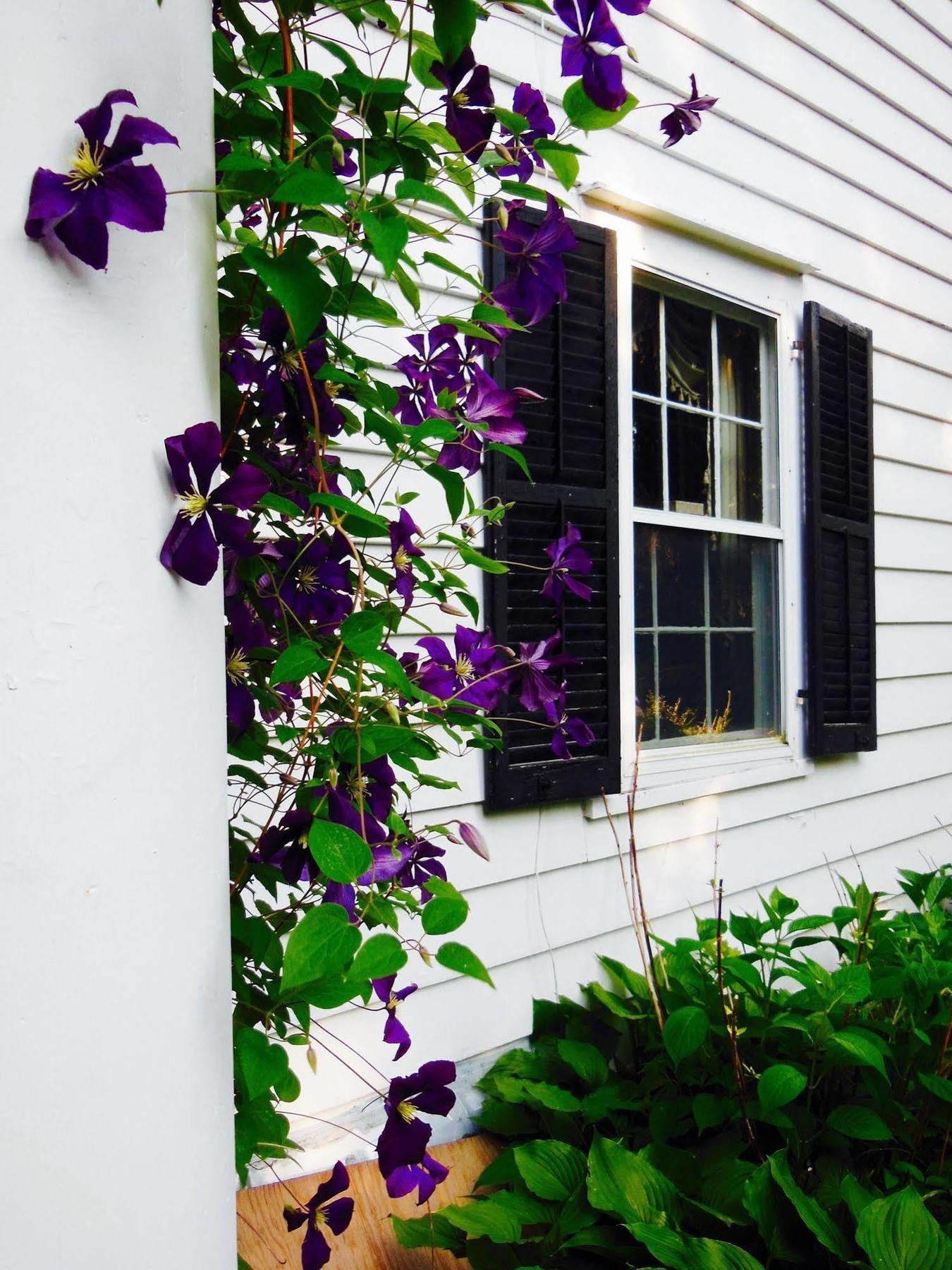 Millbrook Country House Екстериор снимка