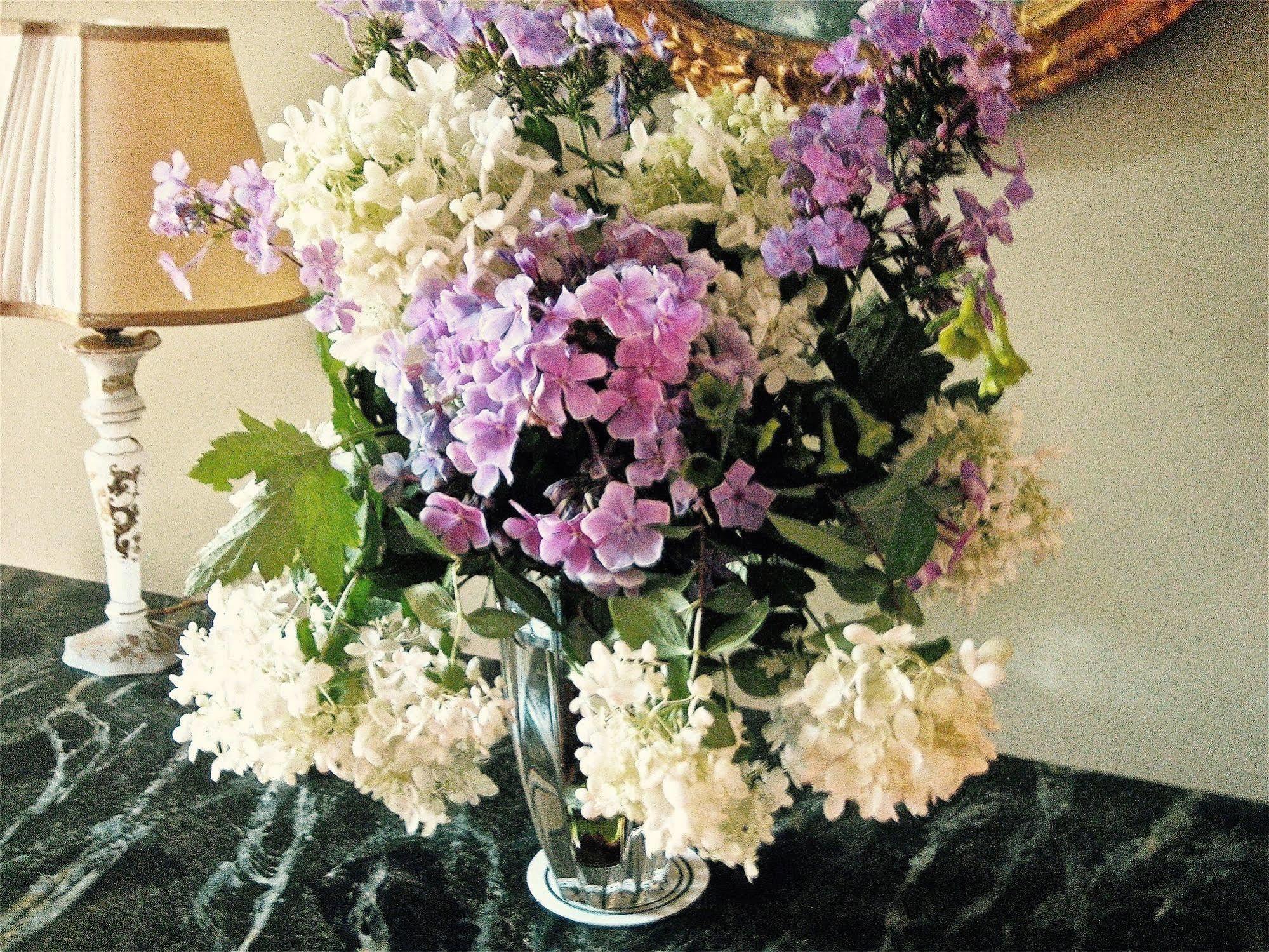 Millbrook Country House Екстериор снимка