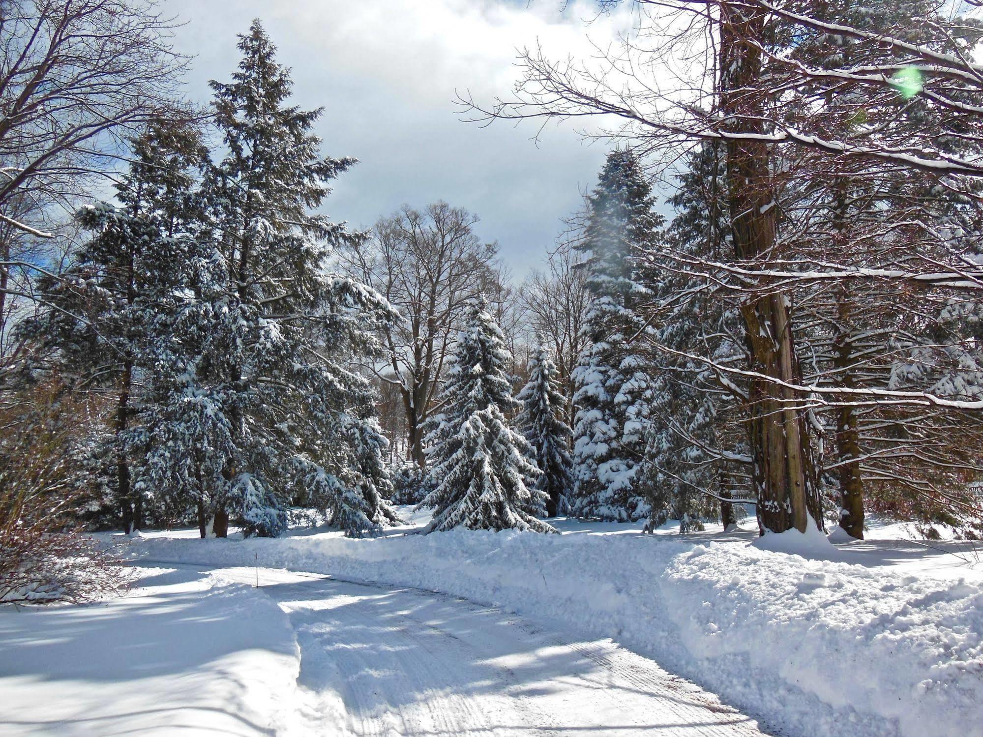Millbrook Country House Екстериор снимка